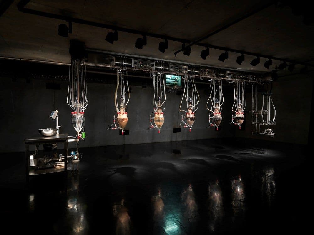 6 chambers suspended from the ceiling in a darkened room making shit.